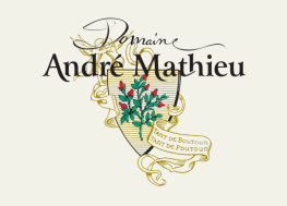 Site Web responsive du domaine André Mathieu